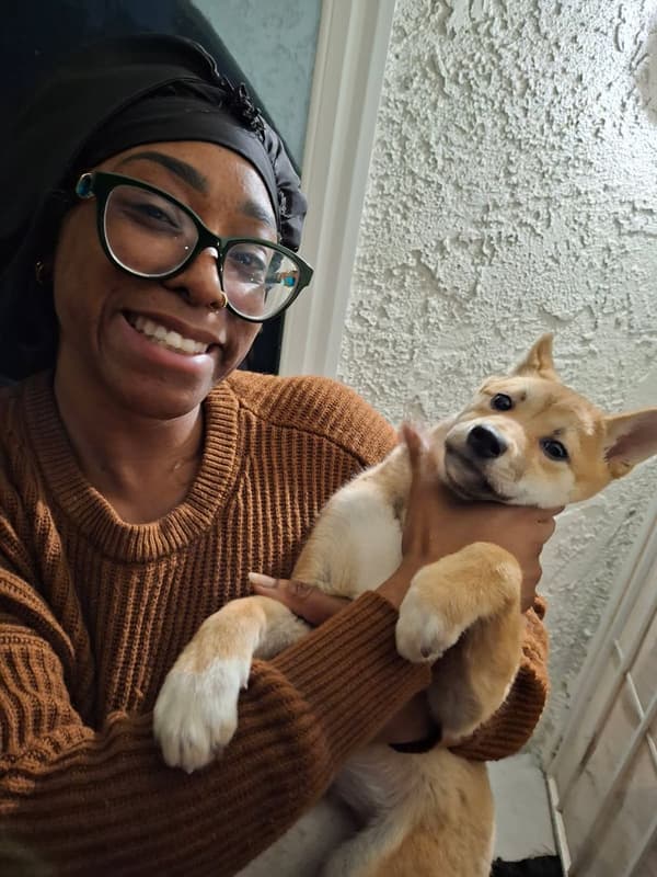 Customer photo of Shiba Inu puppy from Dominique J.