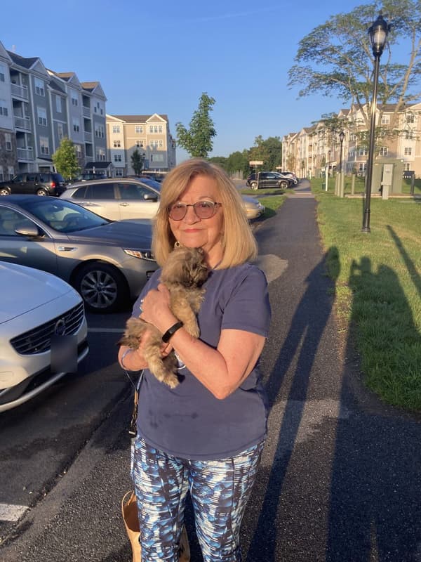 Customer photo of Shichon puppy from Margaret M.