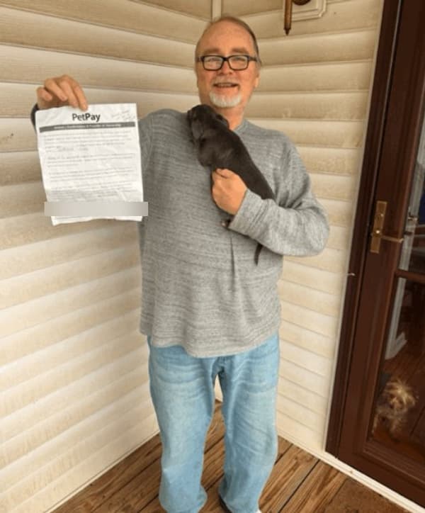 Customer photo of Chihuahua puppy from Robert L.