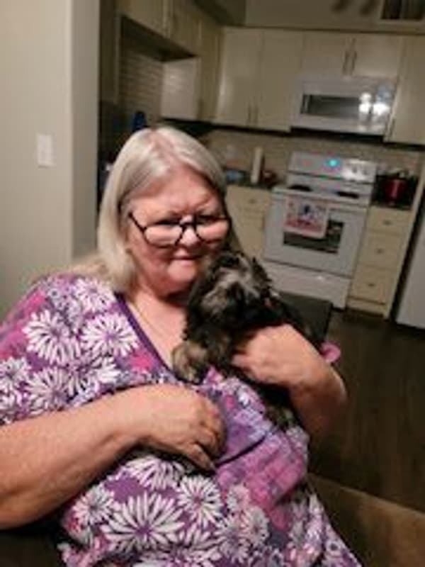 Customer photo of Morkie / Yorktese puppy from Bonnie S.