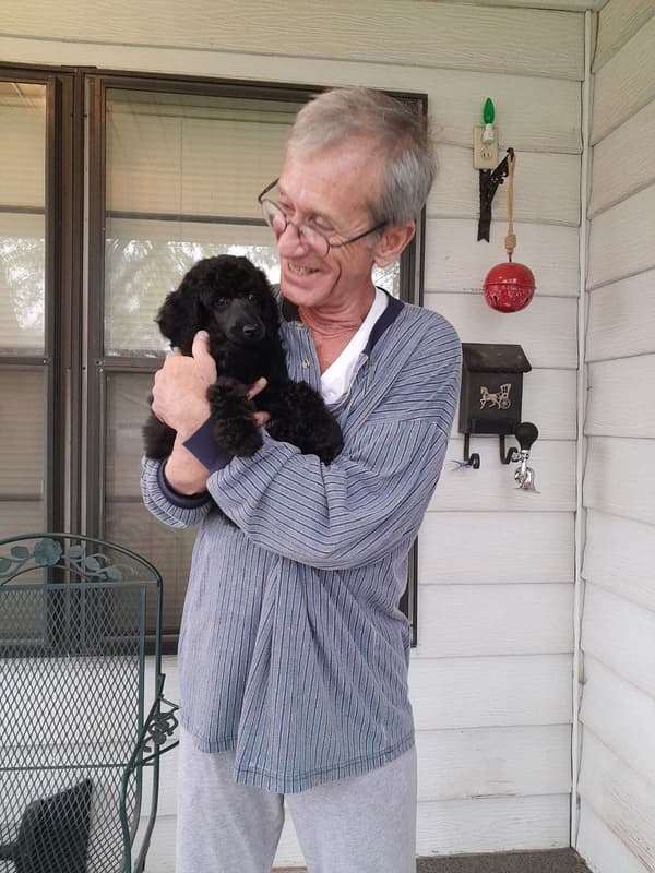 Customer photo of Poodle, Standard puppy from Tim B.