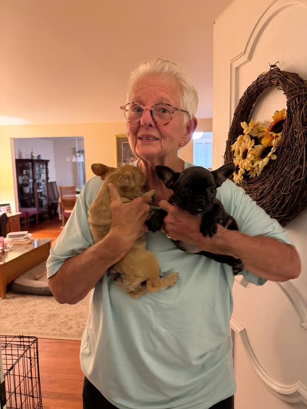 Customer photo of French Bulldog puppy from Susan D.