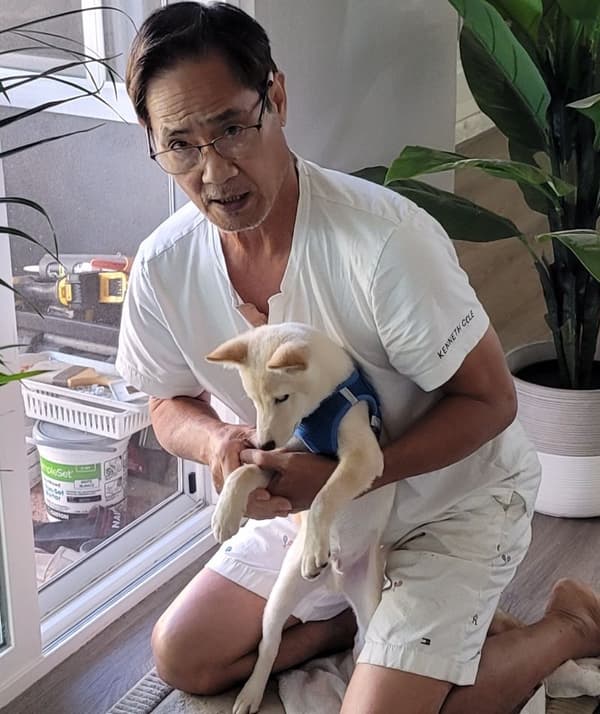 Customer photo of Shiba Inu puppy from Dong L.