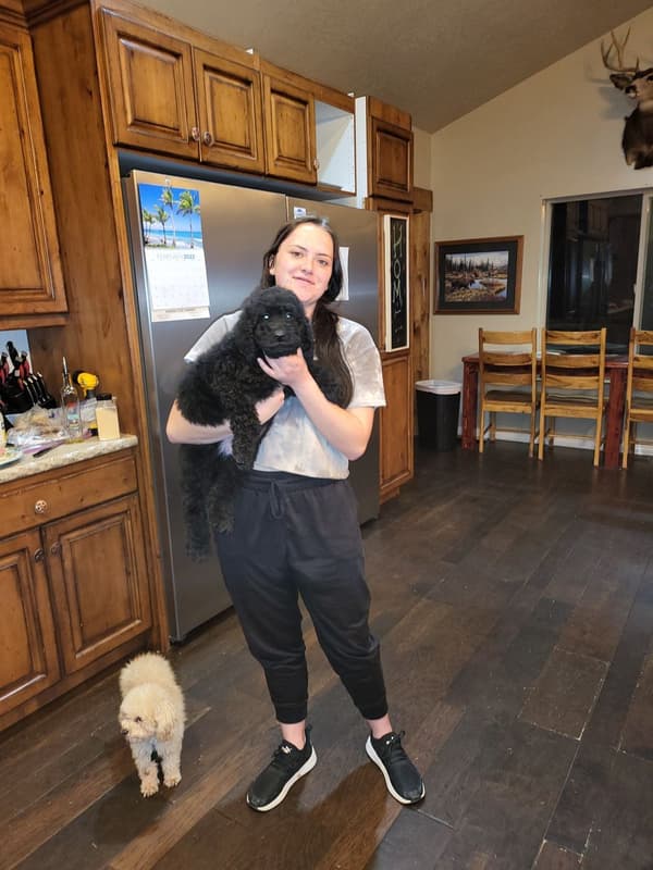 Customer photo of Goldendoodle puppy from Margarita Q.