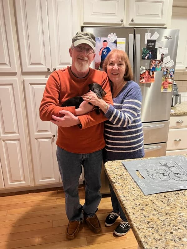 Customer photo of Dachshund, Mini puppy from Doug E.
