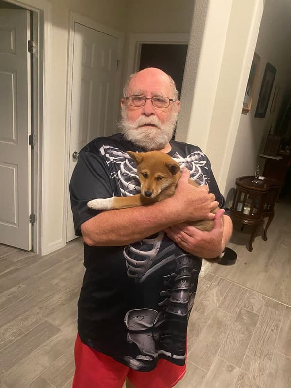 Customer photo of Shiba Inu puppy from David B.