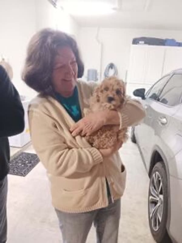 Customer photo of Cavapoo puppy from Sherrell B.