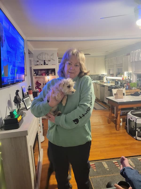 Customer photo of Morkie / Yorktese puppy from Patricia R.