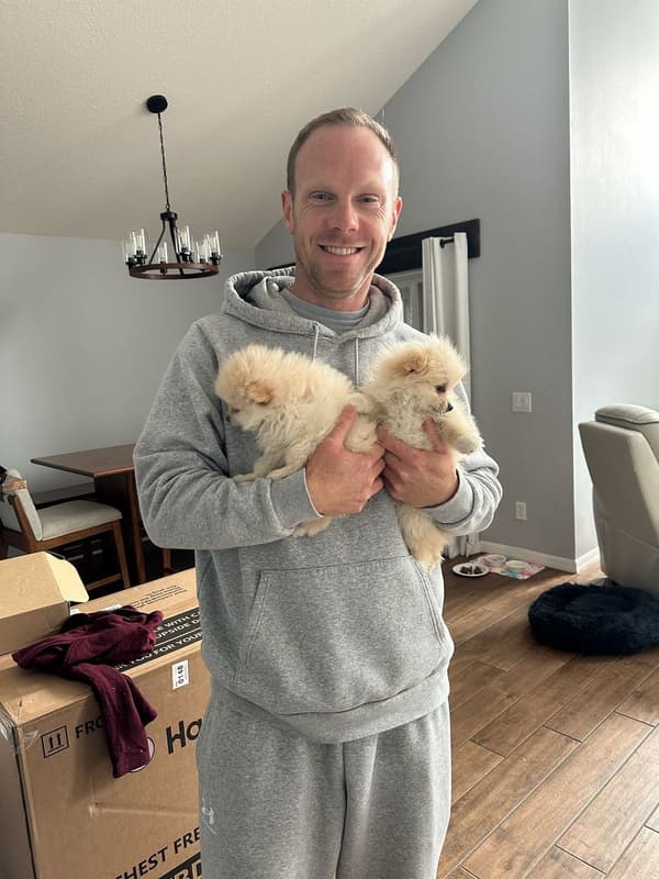 Customer photo of Pomeranian puppy from Nick W.