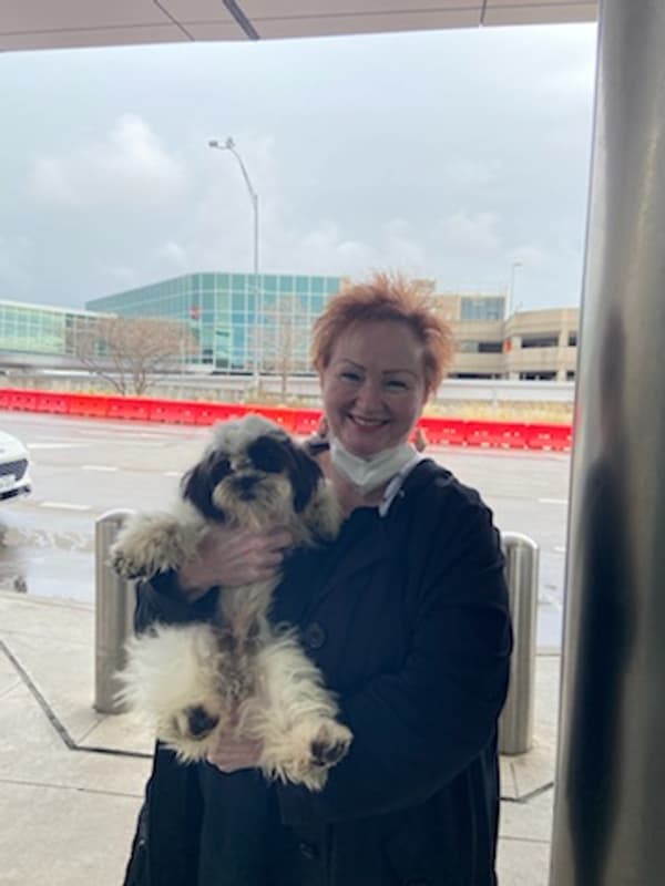 Customer photo of Shorkie puppy from Deanna M.