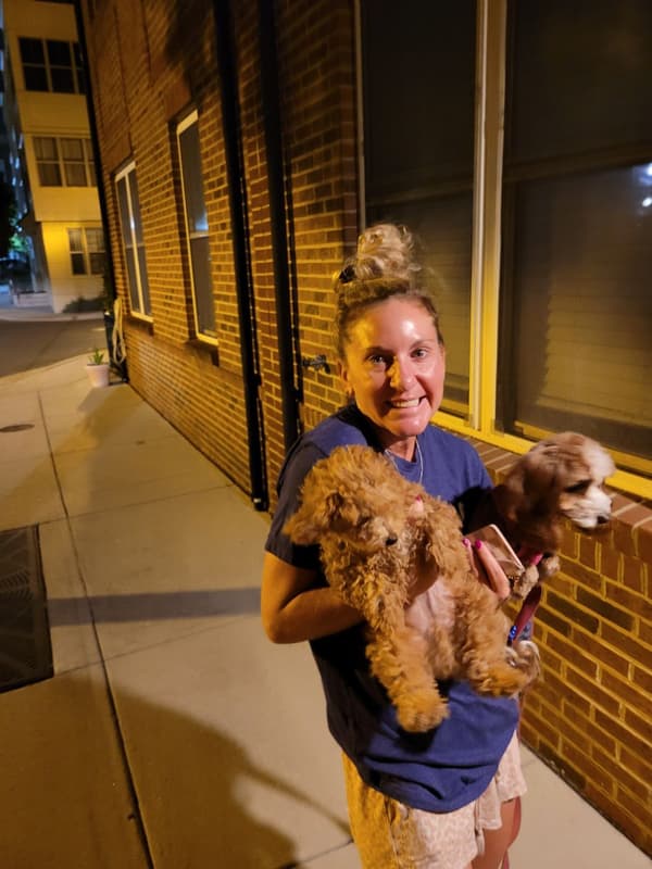 Customer photo of Poodle, Toy puppy from Lindsay K.