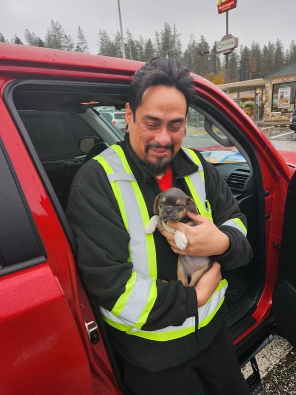 Customer photo of Puggle puppy from Wesley C.