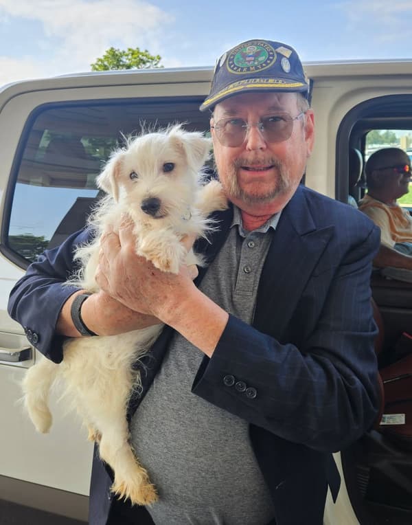 Customer photo of West Highland White Terrier - Westie puppy from Ted O.
