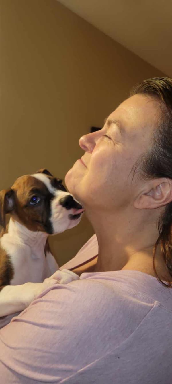 Customer photo of Boxer puppy from Pam D.