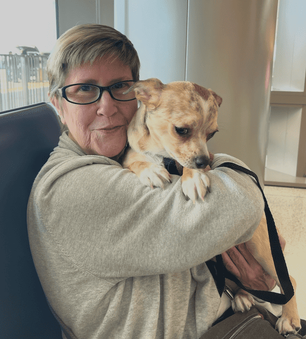 Customer photo of Chihuahua puppy from Lorrie C.