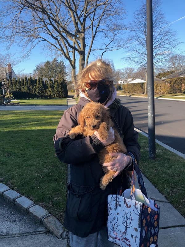 Customer photo of Goldendoodle puppy from Arlene P.