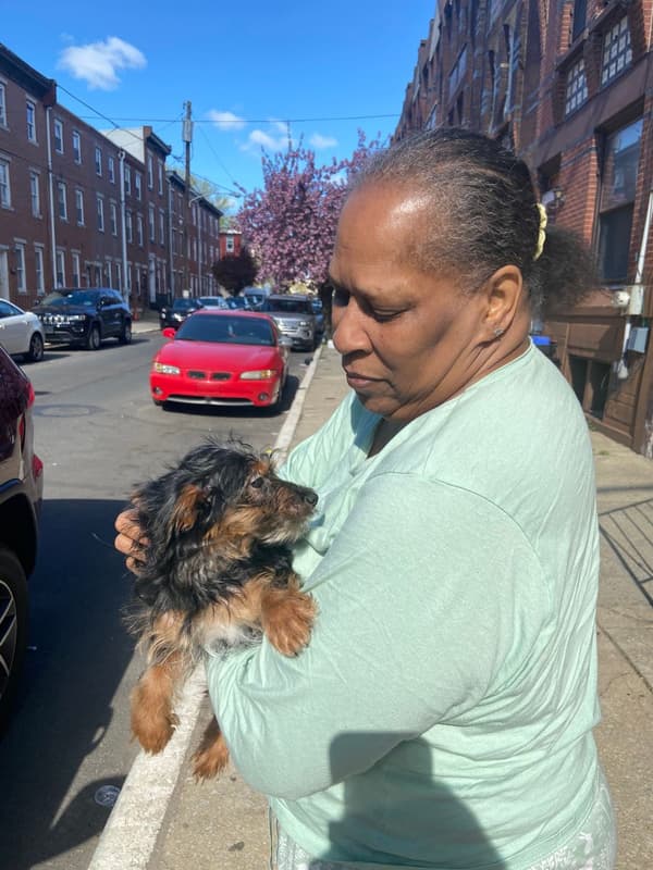 Customer photo of Chorkie puppy from Judy D.