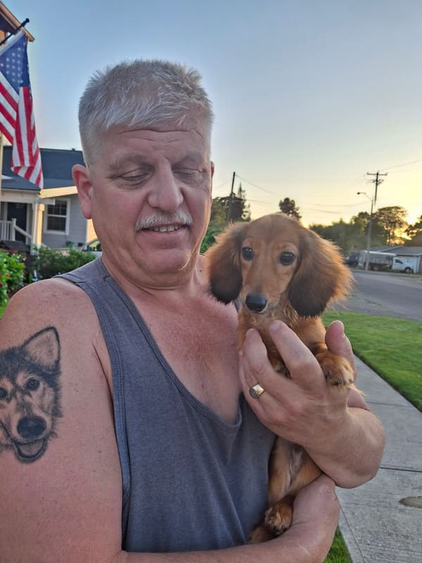Customer photo of Dachshund, Mini puppy from Ann W.