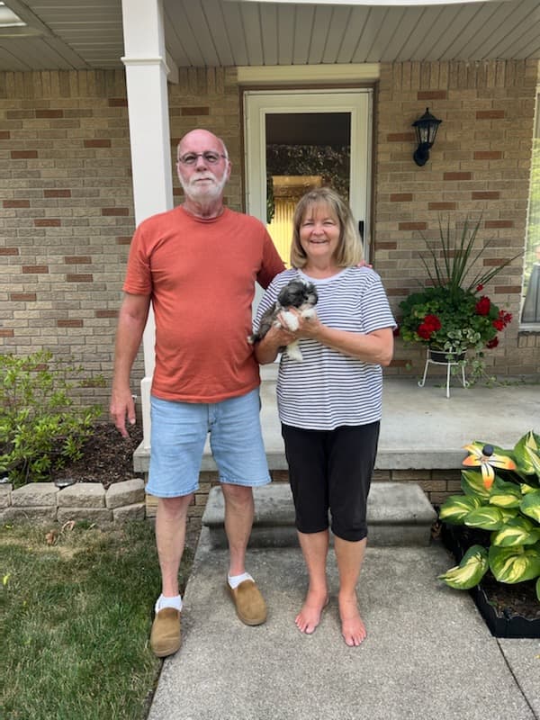 Customer photo of Shih Tzu puppy from Brenda J.