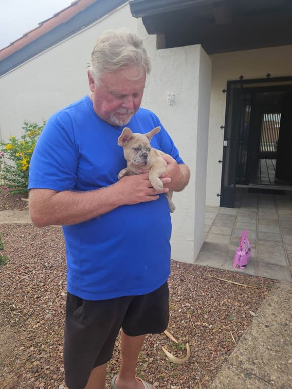 Customer photo of French Bulldog puppy from Mark M.