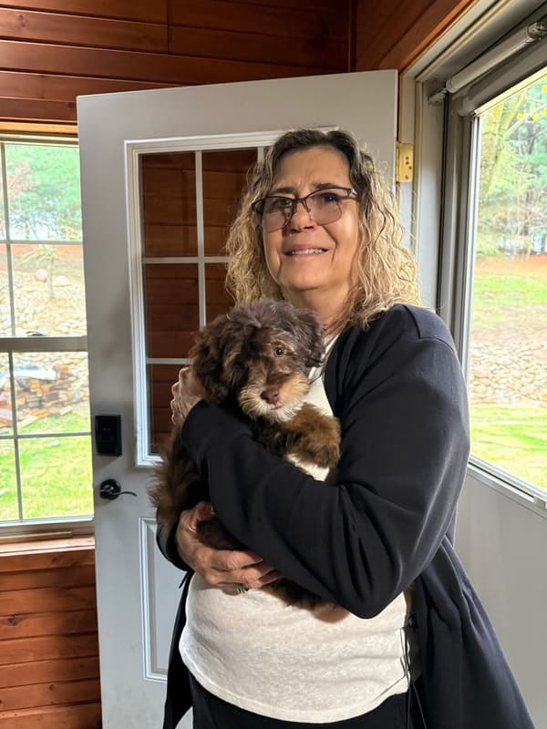 Customer photo of Bernedoodle, Mini puppy from Susan C.
