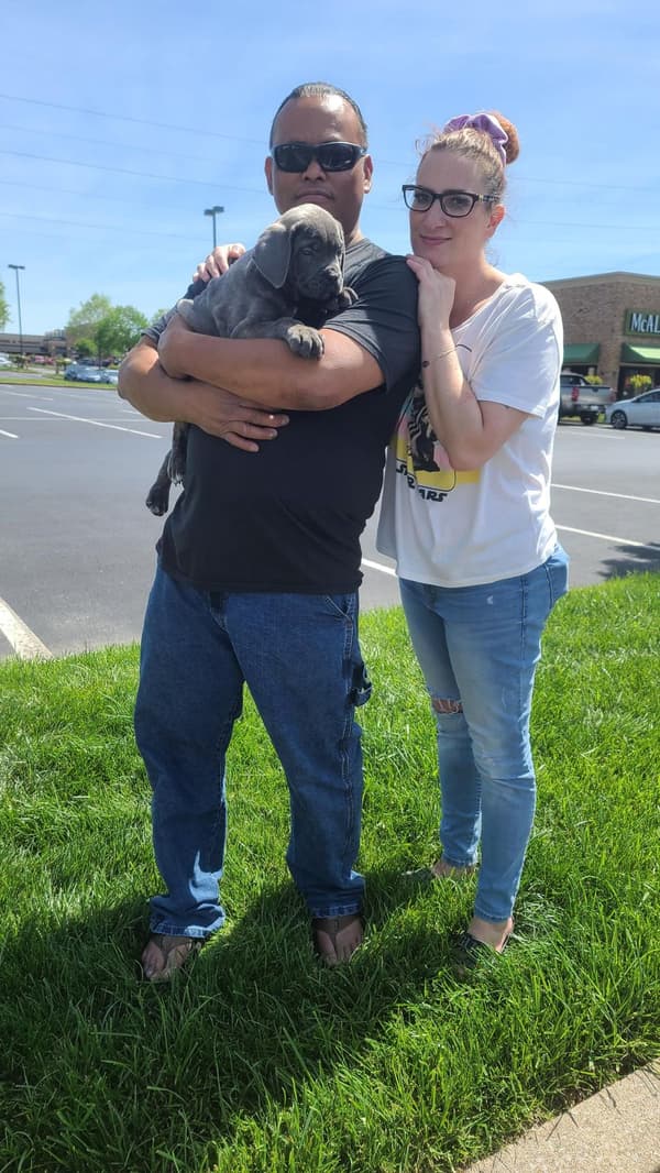 Customer photo of Cane Corso Mastiff puppy from Anthony C.