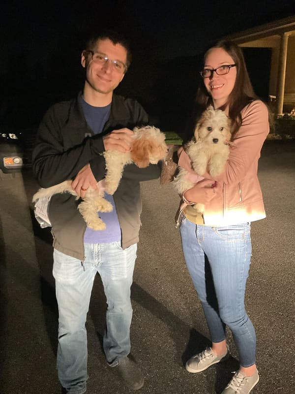 Customer photo of Cavachon puppy from Richard R.