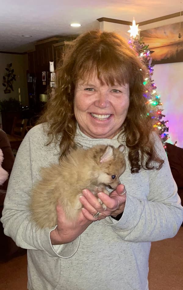 Customer photo of Pomeranian puppy from Margaret F.