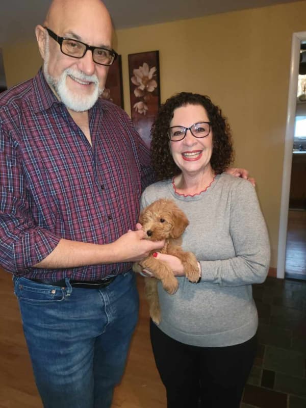 Customer photo of Goldendoodle puppy from Shari M.