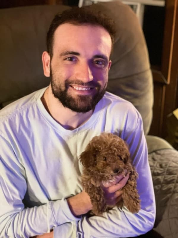 Customer photo of Poodle, Toy puppy from Drake G. 