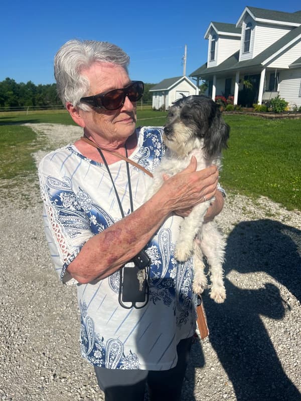 Customer photo of Shih-Poo - Shihpoo puppy from LeeAnna G.