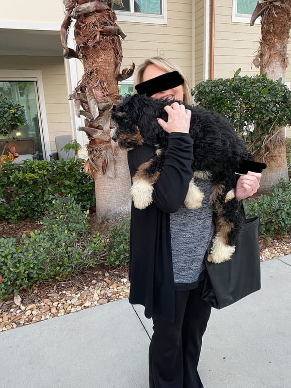 Customer photo of Bernedoodle, Mini puppy from Lori E.