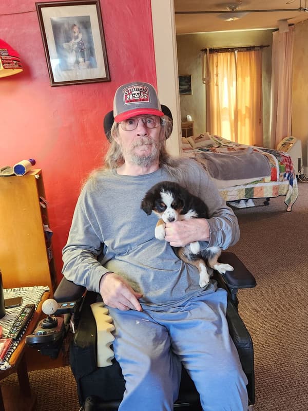 Customer photo of Miniature Australian Shepherd puppy from Ken H. 