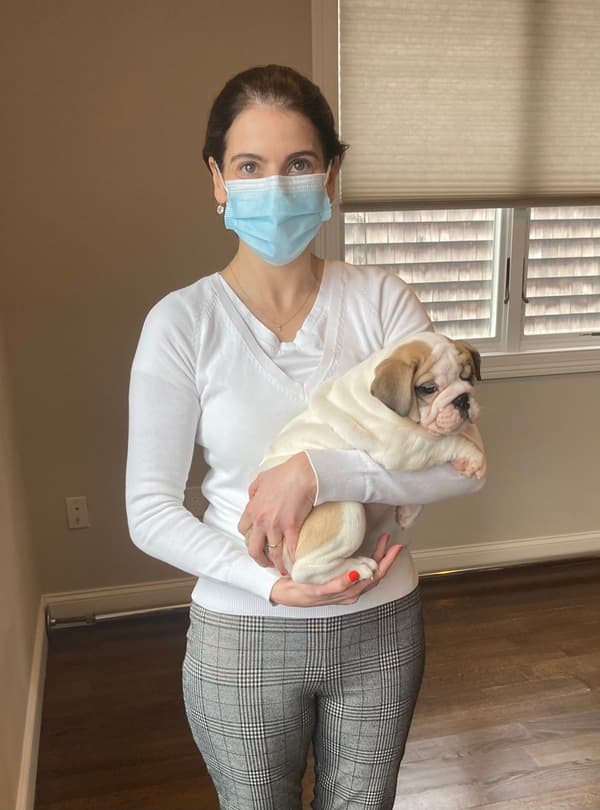 Customer photo of English Bulldog puppy from Cristiane Z.