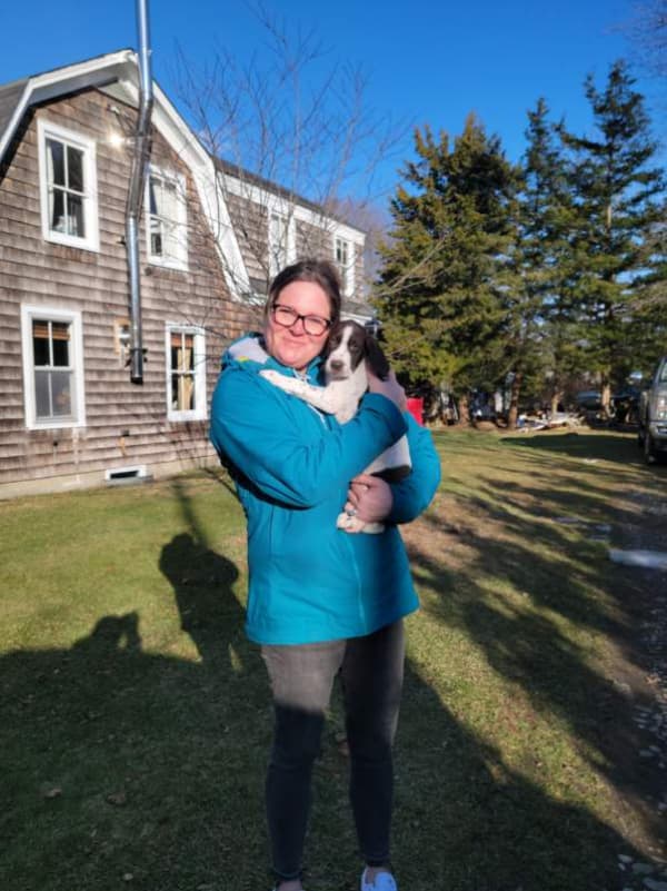 Customer photo of German Shorthaired Pointer puppy from Erin B.