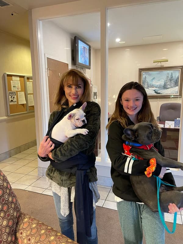 Customer photo of French Bulldog puppy from Christina S.