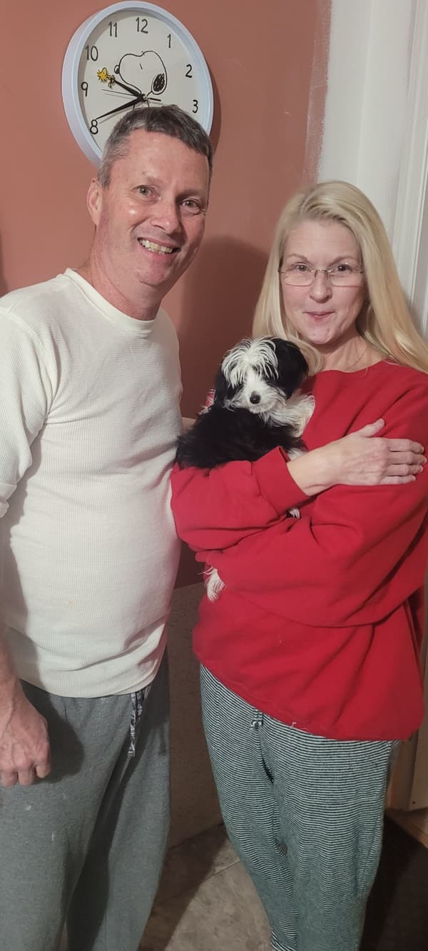 Customer photo of Aussiedoodle puppy from Mike C.