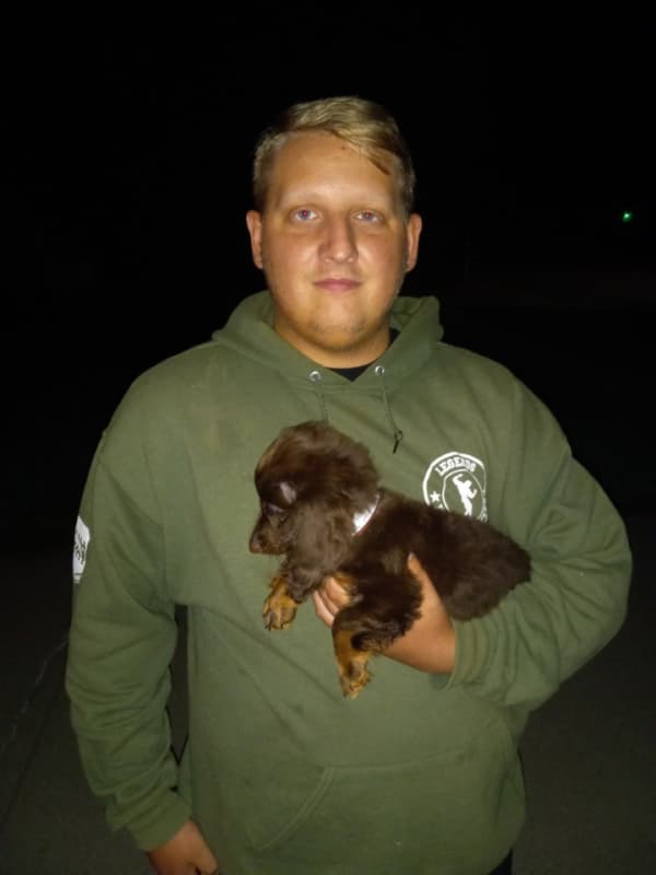 Customer photo of Dachshund, Mini puppy from Aidan B.