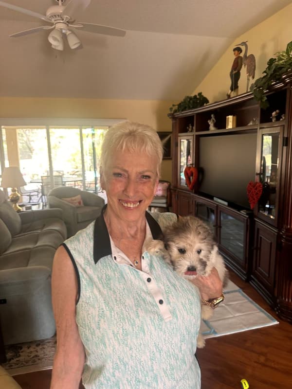 Customer photo of Coton De Tulear puppy from Nancy K.
