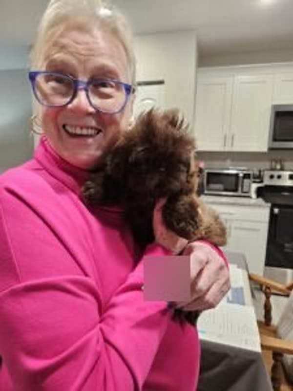 Customer photo of Shih Tzu puppy from Nancy B.