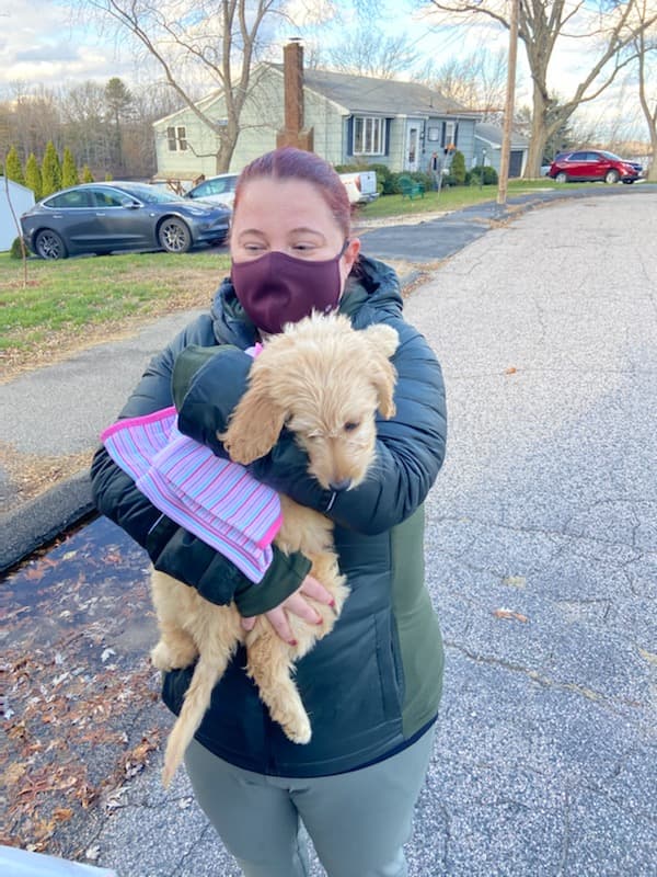 Customer photo of Goldendoodle puppy from Iman F.
