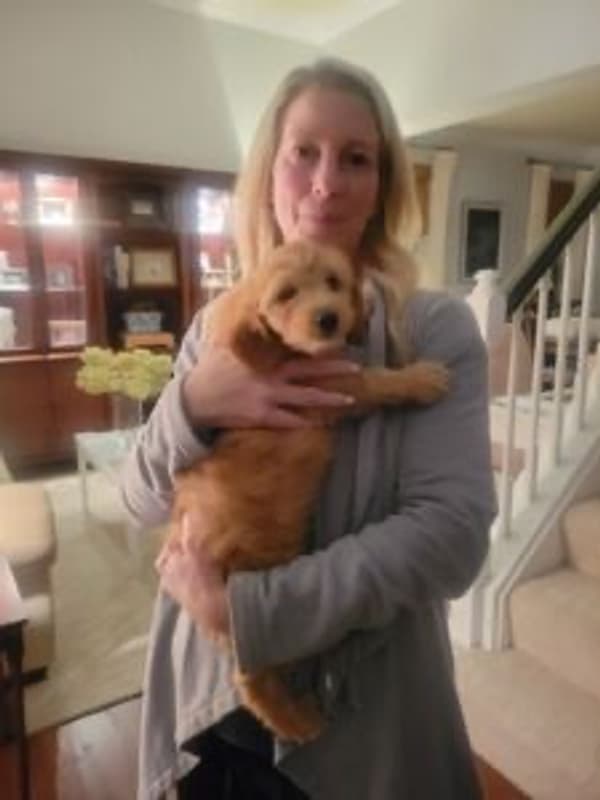 Customer photo of Goldendoodle, Mini puppy from Melissa L.