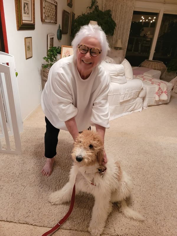 Customer photo of Saint Berdoodle - St. Berdoodle puppy from Cinda M.