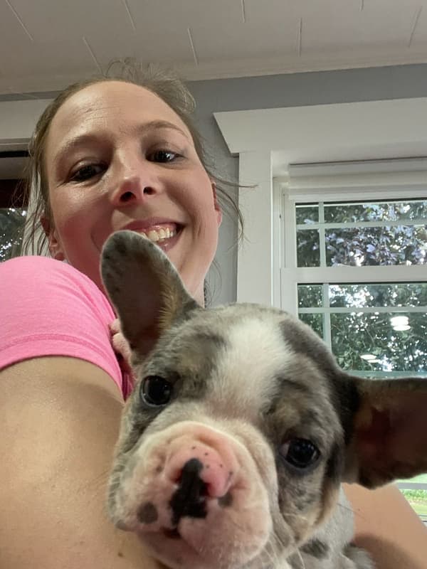 Customer photo of Frenchton puppy from Kaylee S.