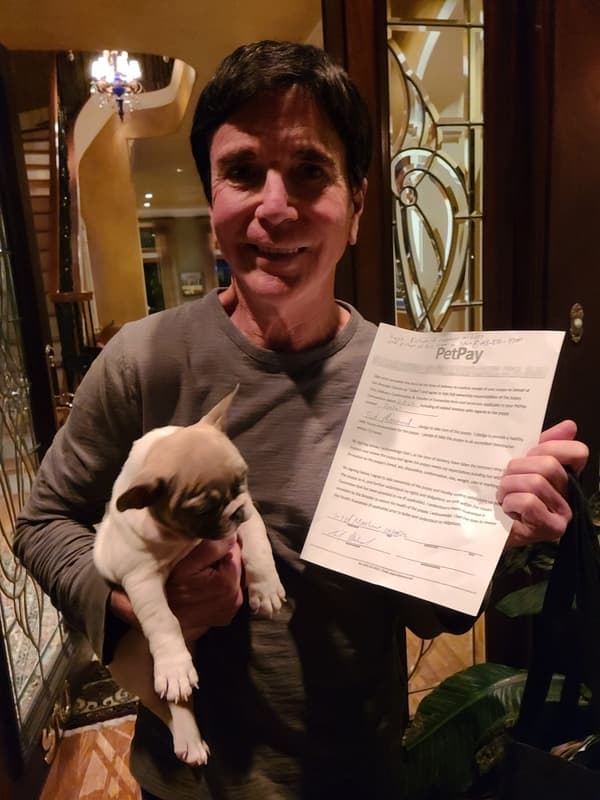 Customer photo of French Bulldog puppy from Sid M.