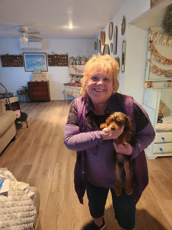 Customer photo of Yorkiepoo - Yorkie Poo puppy from Ann R.
