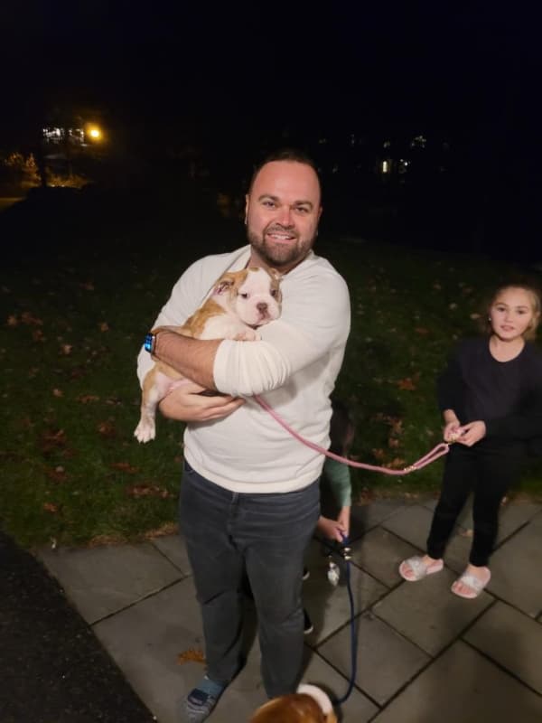 Customer photo of English Bulldog puppy from Jason & Kelly F.