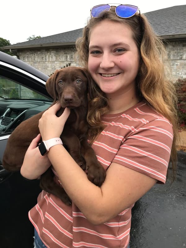 Customer photo of Labrador Retriever puppy from Haley J.