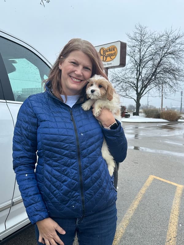 Customer photo of Cavapoo puppy from Anne S.