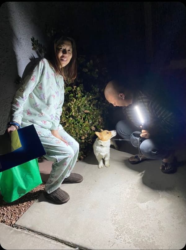 Customer photo of Corgi, Pembroke Welsh puppy from Rana V.